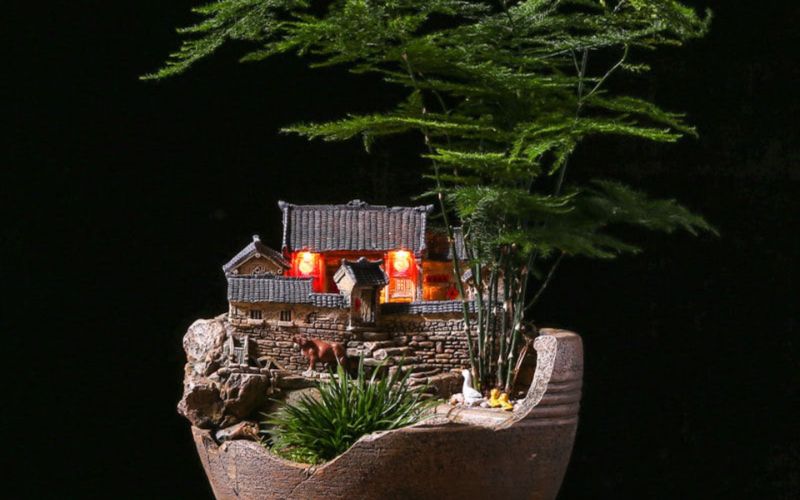 Chậu cây nhỏ với đế gỗ